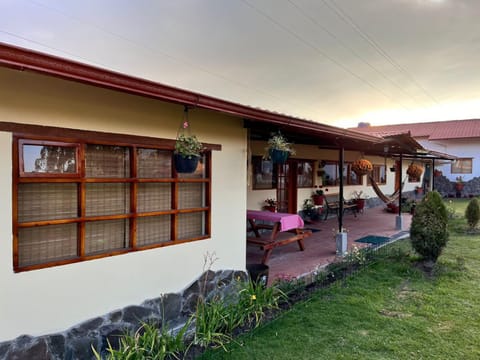 Patio, Garden view