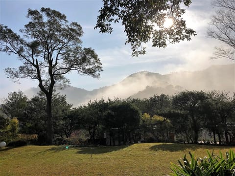 Around The Tree Manor Vacation rental in Taiwan, Province of China