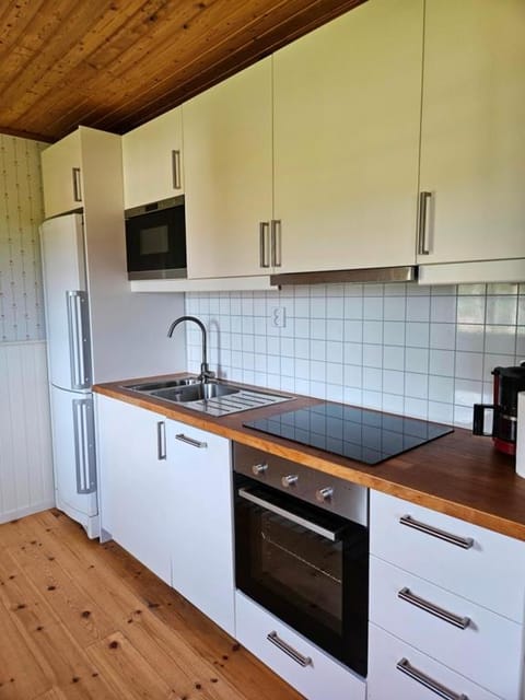 Kitchen or kitchenette, dishwasher, oven, stove