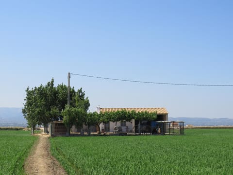 Caseta Montanyana House in Montsià