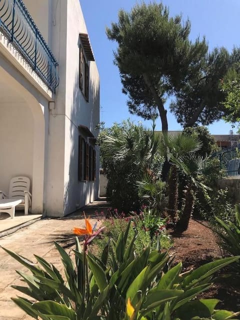 Villa Azzurra House in Porto Cesareo