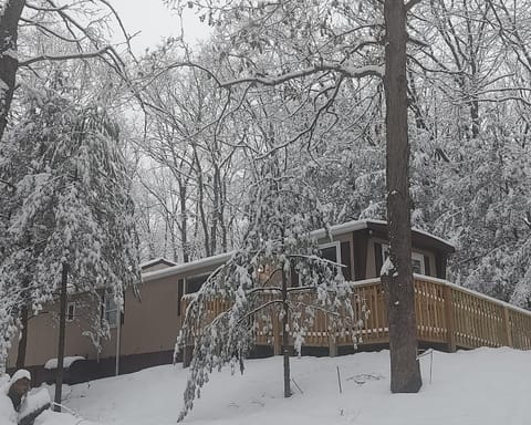 Property building, Natural landscape, Winter