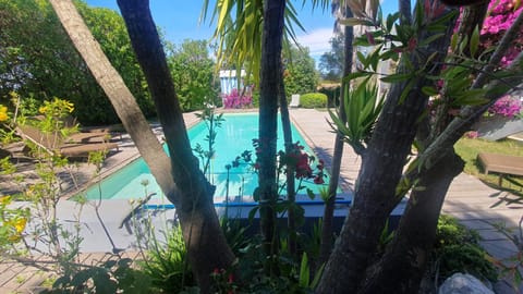 Pool view, Swimming pool