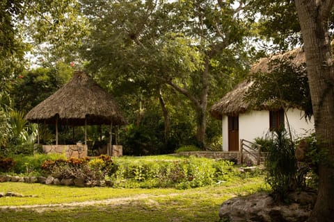 Finca exclusiva en la naturaleza de Yucatán Villa in State of Quintana Roo