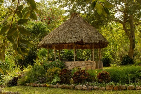 Finca exclusiva en la naturaleza de Yucatán Villa in State of Quintana Roo