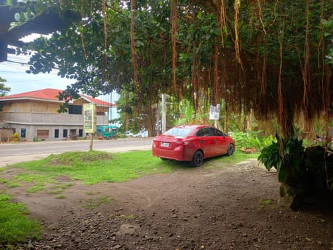 Day, Neighbourhood, Garden, Street view, Parking