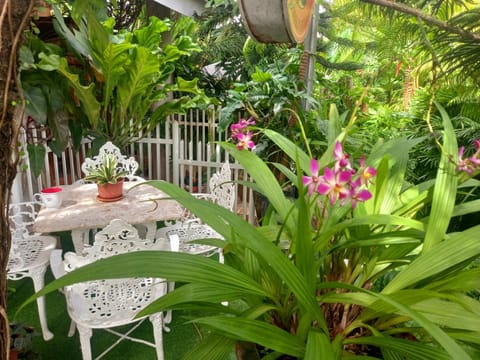 Garden, Balcony/Terrace, Seating area