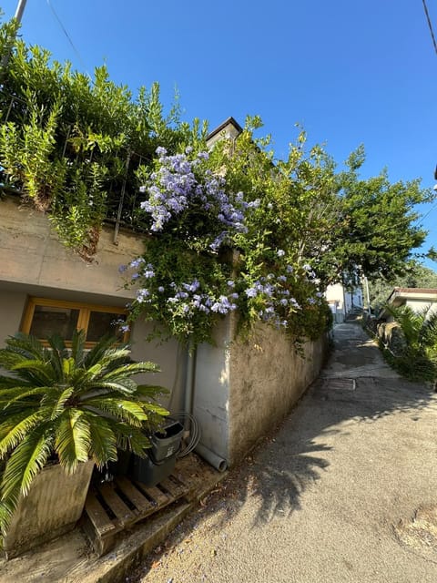 Property building, Spring, Day, Summer, Garden, Garden view