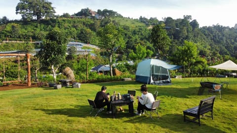 Spring, Day, People, Natural landscape, Garden, Garden view, Mountain view, group of guests