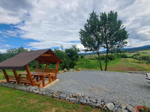 CabanA-lupu Chalet in Timiș County