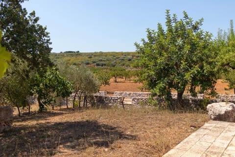 Terre di Caanthea Apartment in Castellana Grotte