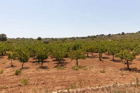 Terre di Caanthea Apartment in Castellana Grotte