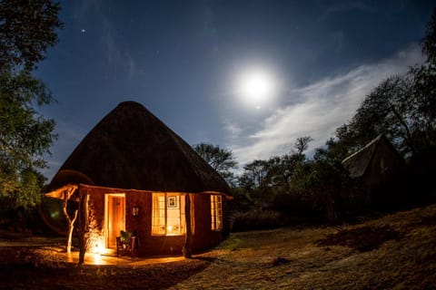 Hlane Royal National Park Nature lodge in South Africa