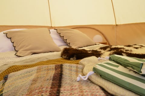 Tylda Tents at Tregonetha Lake - 5m Luxury Bell Tent "Moorhen" Luxury tent in Saint Columb Major