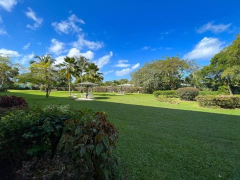 Garden, Garden view