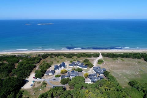 Natural landscape, Bird's eye view, Garden, Beach