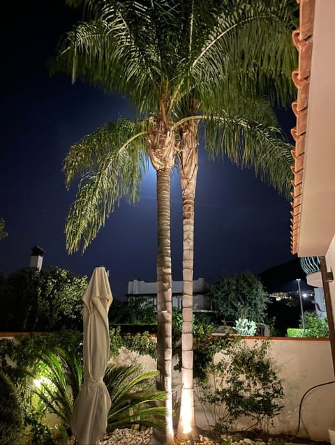 Property building, Night, Garden, Garden view