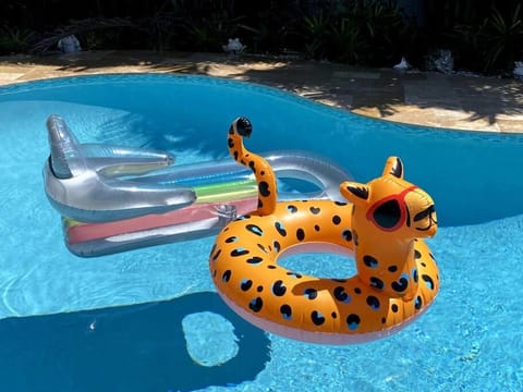 Day, Animals, Pool view, Swimming pool