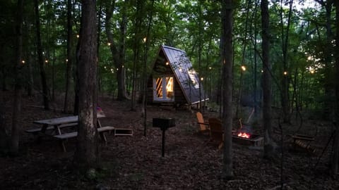 Off grid primal tiny A frame in the woods Campground/ 
RV Resort in Lake of the Ozarks