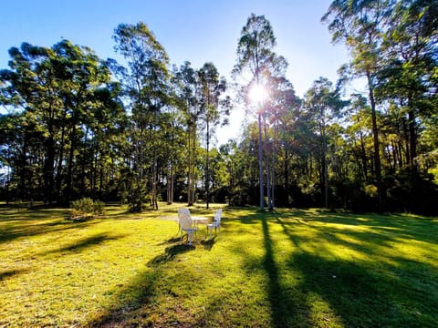 Garden, View (from property/room), Garden view, Sunrise