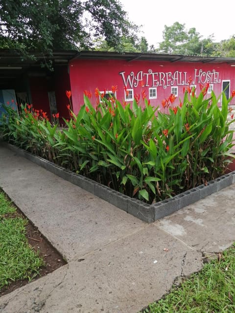 Property building, Garden, Garden view