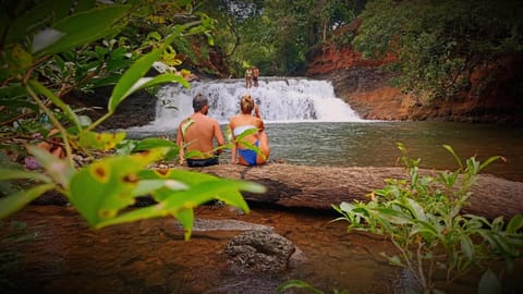 Natural landscape, River view