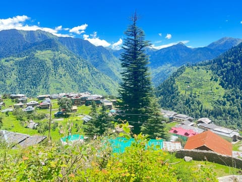 Thirthan Backpacker paradise Bed and Breakfast in Himachal Pradesh