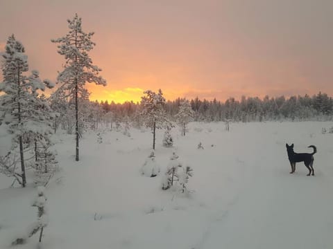 Santa's cottage Apartment in Rovaniemi