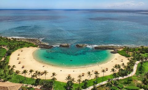 Natural landscape, Bird's eye view, Snorkeling