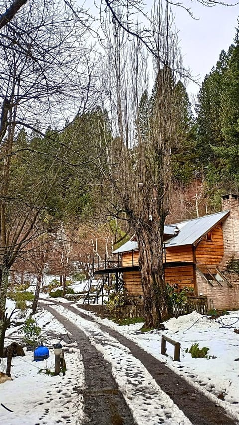 Martina Chalet in San Martín de los Andes