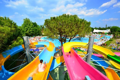 Aqua park, Swimming pool