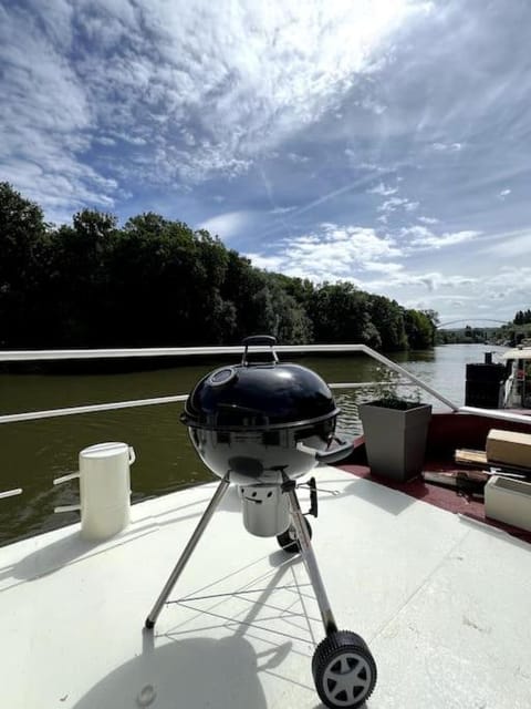 On boat luxury - 6 pers - view Apartment in Saint-Germain-en-Laye