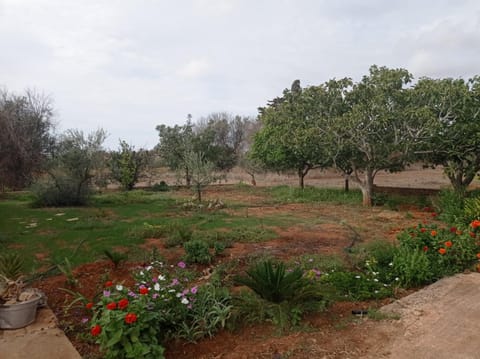 Casa vacanze Salento Nonno Totò House in Marina di Mancaversa-Giannelli