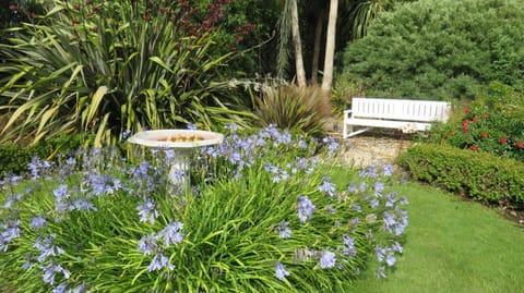 Maples on Harewood Bed and Breakfast in Christchurch