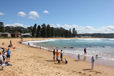 Avoca Beach "Cape Cottage" House in Cape Three Points Road