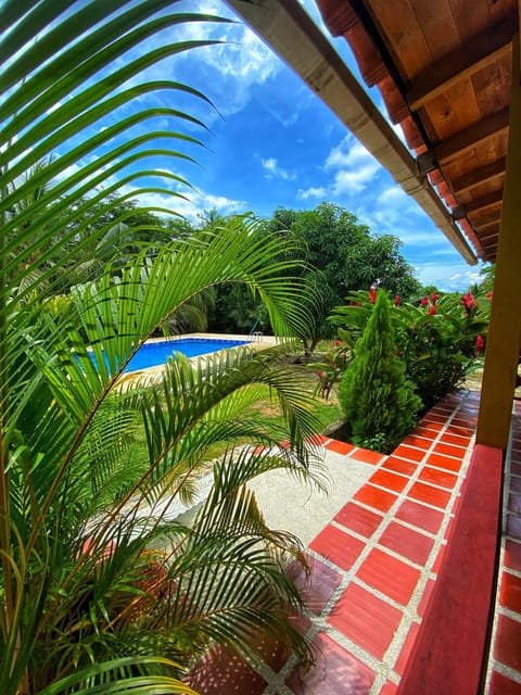 Balcony/Terrace, Pool view, Swimming pool