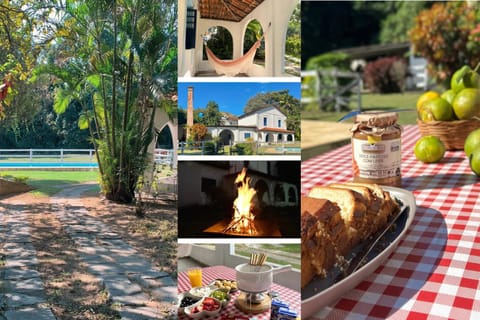 Day, Garden, Food and drinks, Food, Garden view