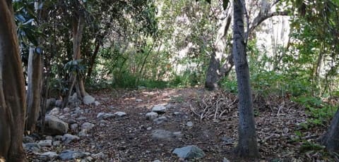 Quinta Emilia - Paihuano - Elqui Valley House in Coquimbo Region