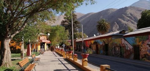 Quinta Emilia - Paihuano - Elqui Valley House in Coquimbo Region