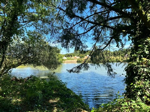 Natural landscape, Lake view