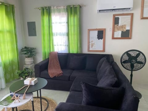 Living room, Seating area, air conditioner