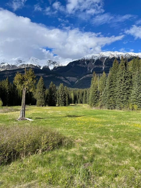 Rustic Beaverfoot Lodge Room N3 Hotel in Columbia-Shuswap A