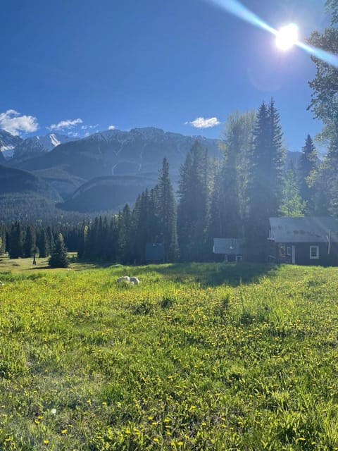 Rustic Beaverfoot Lodge Room N5 Hotel in Columbia-Shuswap A