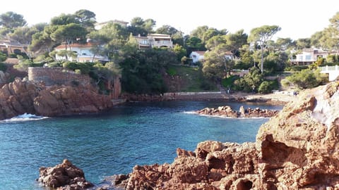 Natural landscape, Beach