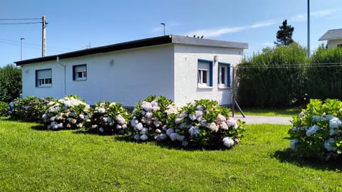 Property building, Garden, Garden view