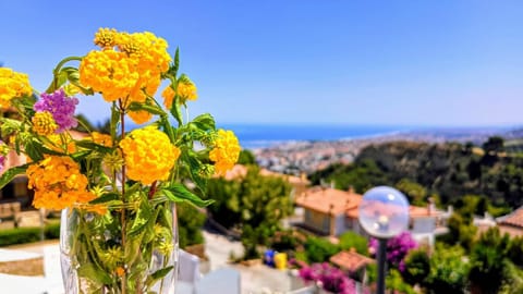 Day, Natural landscape, Balcony/Terrace, Sea view