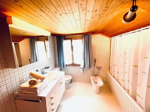 Double Room 2 in the Alpine Chalet Gstaad Vacation rental in Saanen