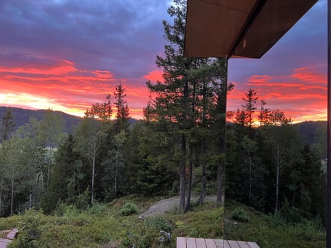 Speilsuite med egen badstue og panorama Nature lodge in Trondelag