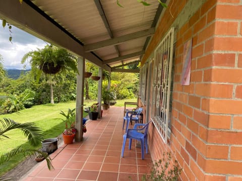 Natural landscape, Garden view, Mountain view