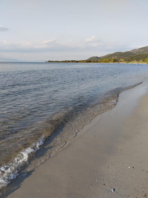 ΘωΜΑΙΣ Apartment in Thasos